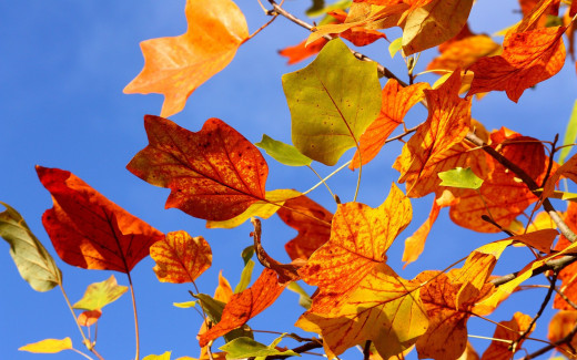 566327 (a): :2560x1600